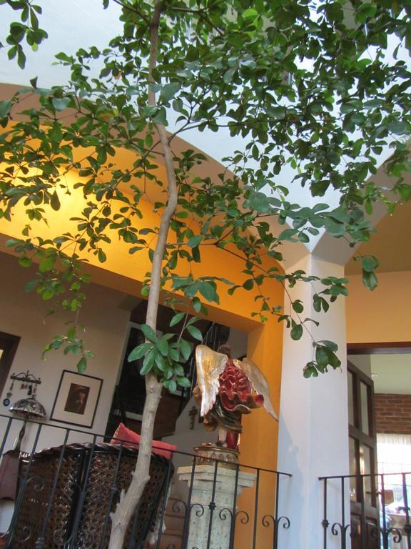 La Colorada Bed & Breakfast Zacualpan Екстериор снимка